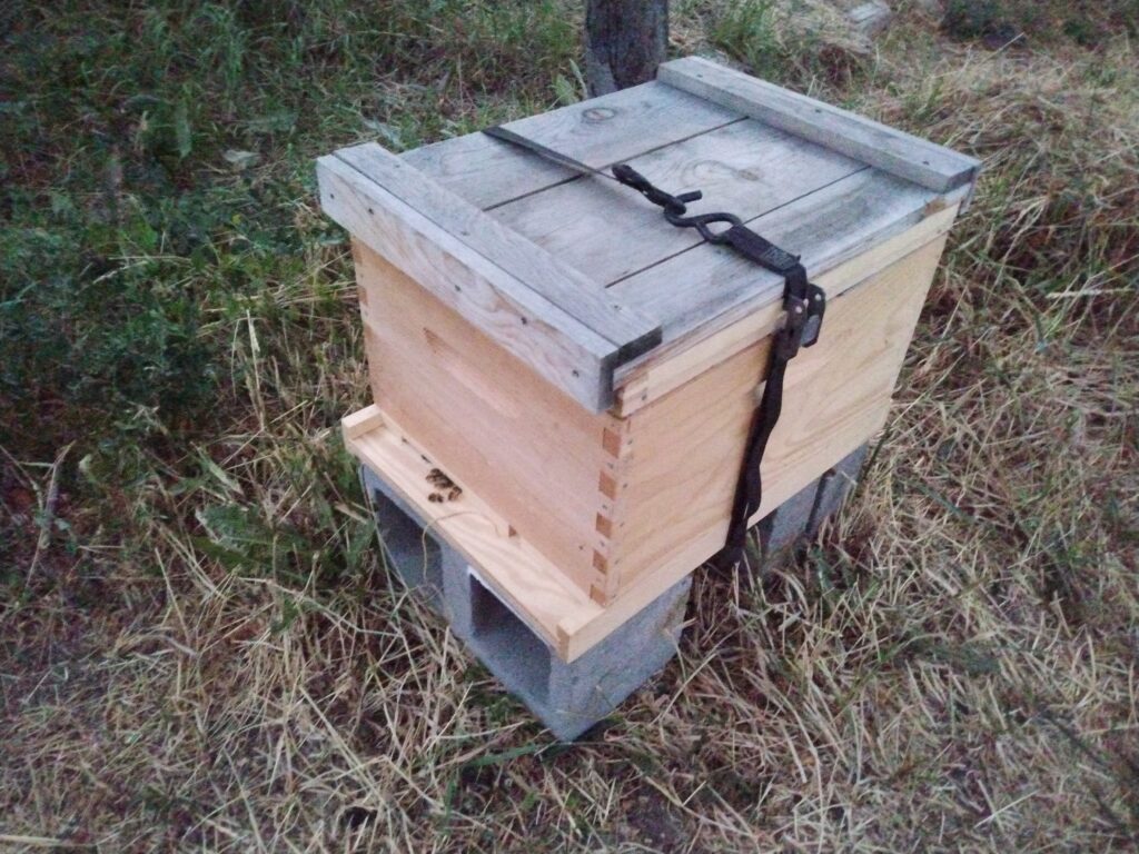 Beehive in Teaching Garden