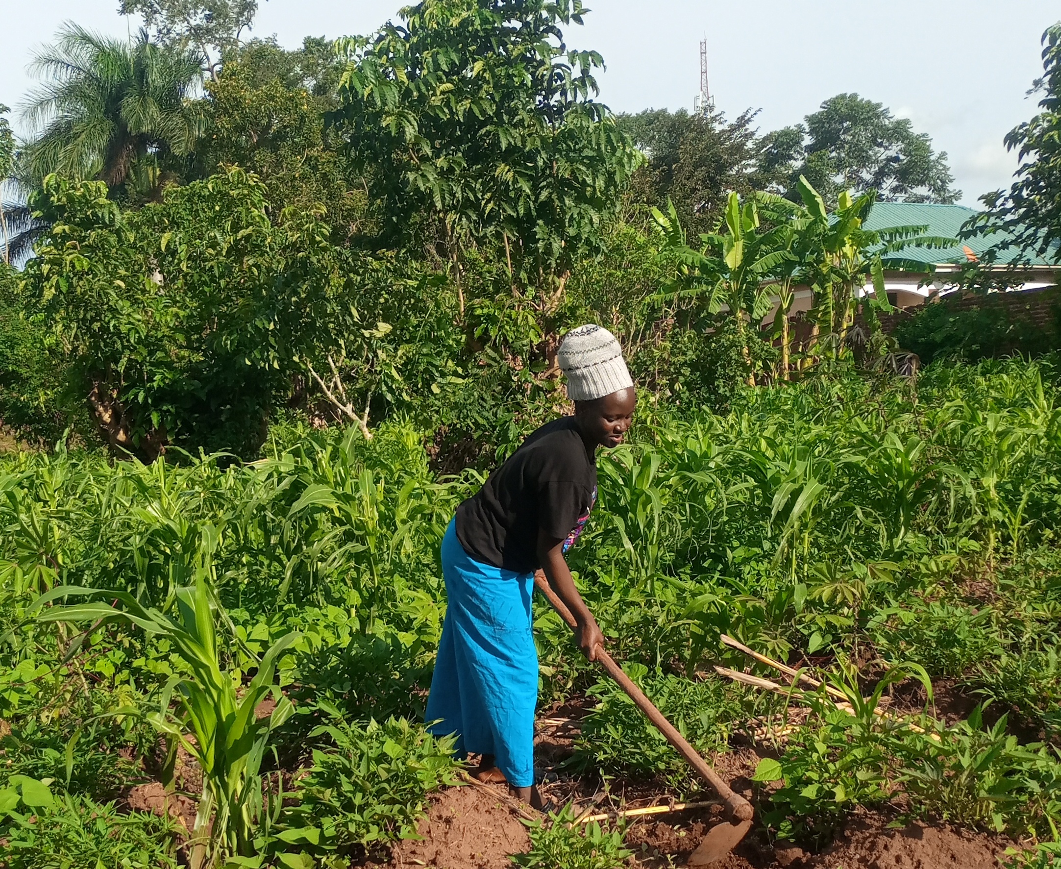 Juliet Farming God's Way